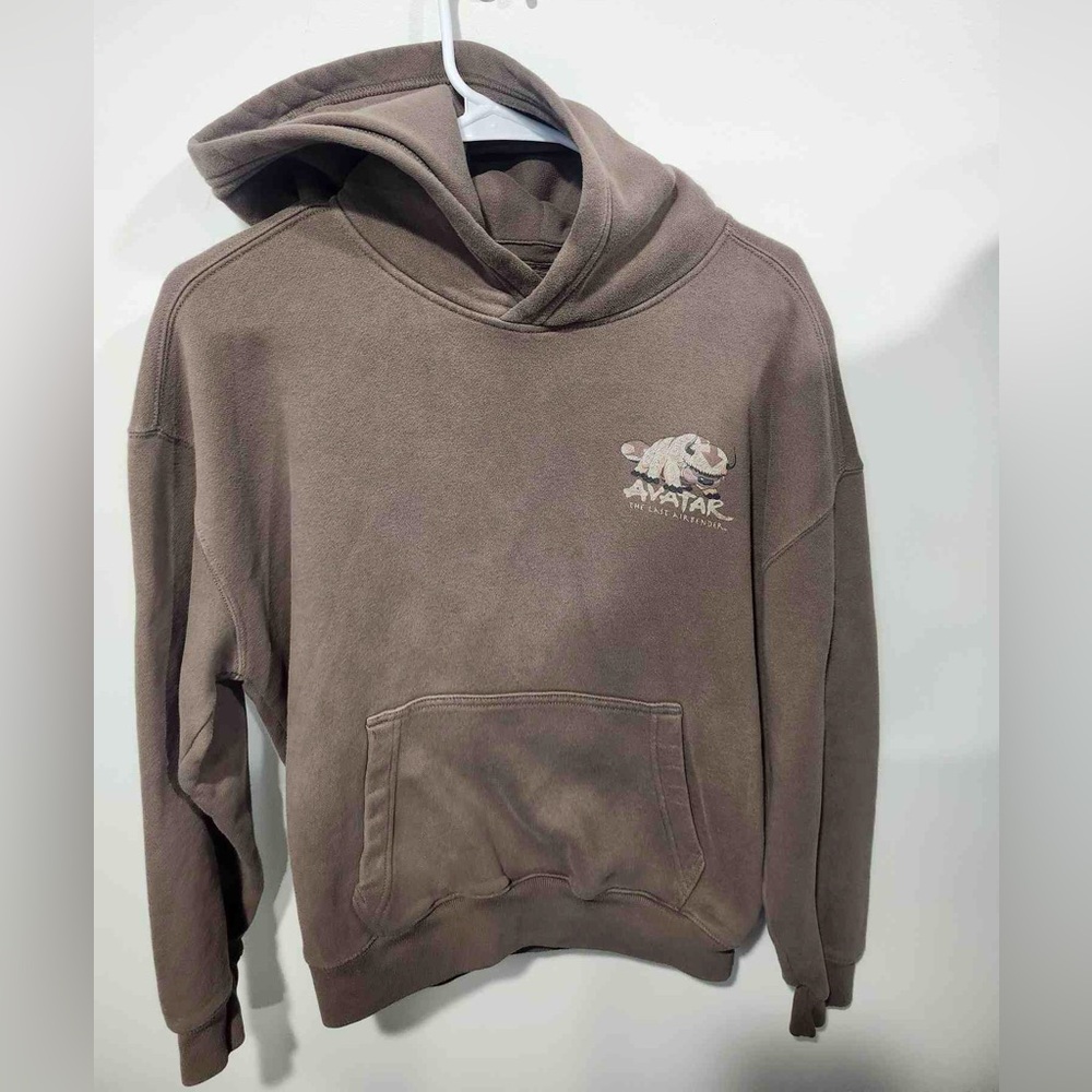Hollister Brown Hoodie with Graphic